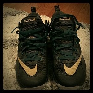 Nike LeBron James sneakers
